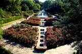 http://fwbg.org/wp-content/uploads/2011/11/Morning-Light-in-Rose-Garden-Janet-Maloy.jpg