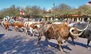 Image result for stockyard fort worth texas